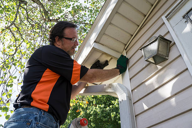 Best Construction Debris Removal  in Doctor Phillips, FL